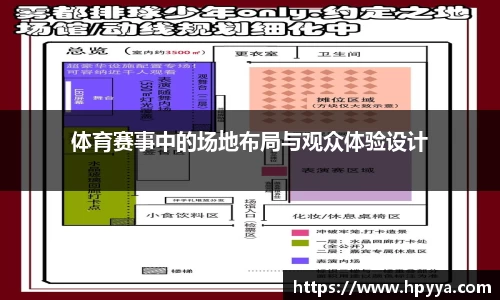 体育赛事中的场地布局与观众体验设计